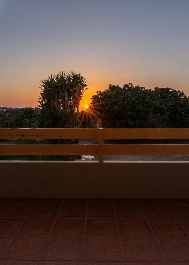 הוילה פלאסרנה Alexandros Luxury House מראה חיצוני תמונה