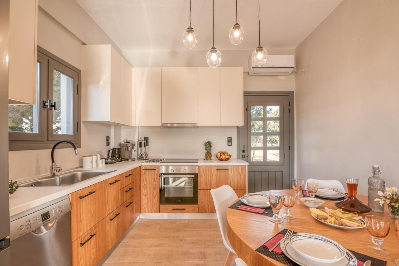הוילה פלאסרנה Alexandros Luxury House מראה חיצוני תמונה