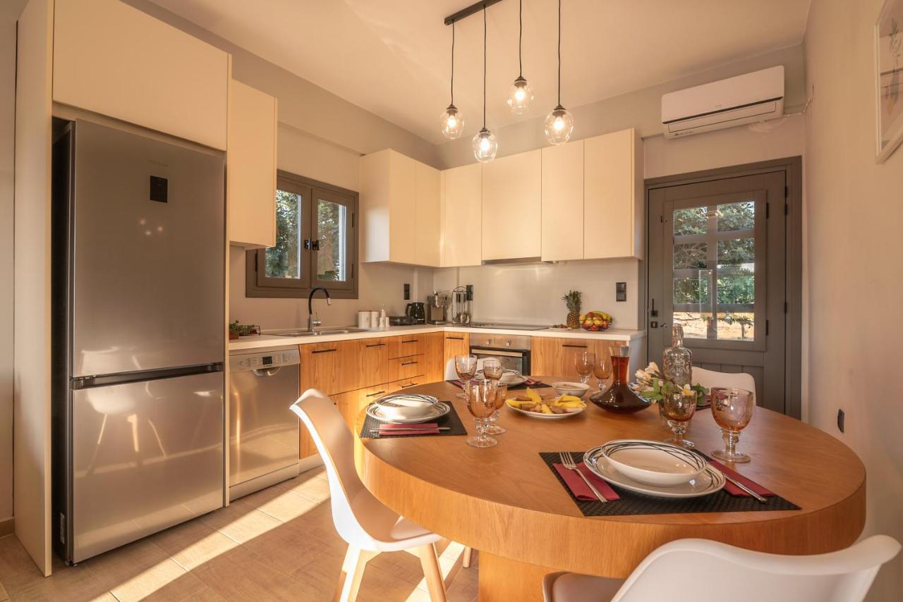 הוילה פלאסרנה Alexandros Luxury House מראה חיצוני תמונה